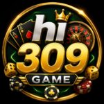 hi309 GAME