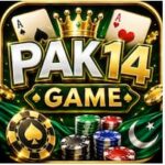 pAK14 Game
