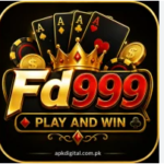 FD999 GAme